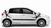 Dán decal xe Hyundai Getz thằn lằn