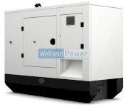 Máy phát điện Welland Power WP 100 (110KVA)