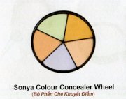 Sonya Colour Concealer Wheel - Bộ phấn che khuyết điểm MSP-184