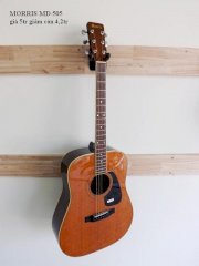Guitar Acoustic Morris MD-505