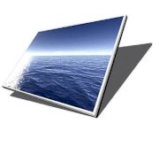 Màn hình laptop Asus 14.1 inch wide gương