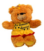 Tokenz for Someone Special Snowy Teddy Bear - 30 cm