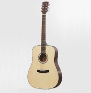 Dove Acousic Guitar DD-120