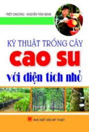 Kỹ thuật trồng cây cao su với diện tích nhỏ