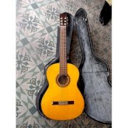 Guitar Classic Takamine elite G-300