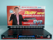 Ruby DVD-388D