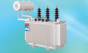 Máy biến áp 3 pha Đông Anh 1000 KVA