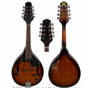 Electric Mandolin M190