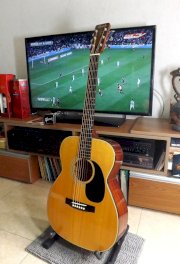 Guitar Acoustic Thumb by Terada F-150