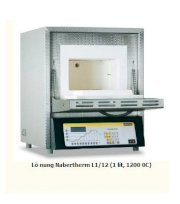 Lò nung NABERTHERM L1/12 (1 lít, 1200 0C)