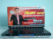 Ruby DVD-288A