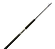  Daiwa® Saltist® Boat Conventional Rods