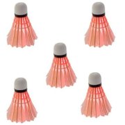 Toogoo(R) 5*Dark Night LED Badminton Shuttlecock Birdies Lighting Red