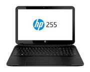 HP 255 G2 (F7Y03EA) (AMD Dual-Core E1-2100 1.0GHz, 4GB RAM, 500GB HDD, VGA ATI Radeon HD 8210, 15.6 inch, Windows 7 Professional 64 bit)