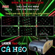 Laser cá heo PAH-L231