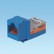 Panduit NetKey Cat 5e leadframe jack module - Blue (NK5E88MBUY)