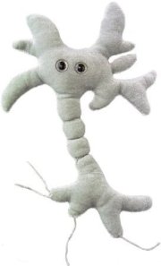Brain Cell Giant Microbes Plush Science Toy 