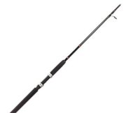  Daiwa® Beefstick® BT Boat Spinning Rods