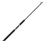  Daiwa® Beefstick® BT Boat Conventional Rods