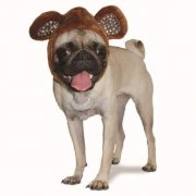 Brown Bear Dog Hat by Dogo