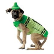 Crayola Crayon Dog Costume by Rasta Imposta - Green