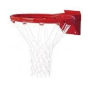 Gared Sports 5500 Double Ring Playground Breakaway Goal with Nylon Net