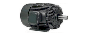 Motor phòng nổ an toàn TECO AEEBXA - AEVBXA 1.5kw-2HP-6P (960v/p)