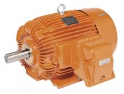 Motor phòng chống cháy nổ TECO 7.5HP-5.5kw (6P - 960v/p)