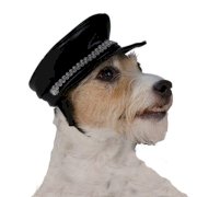 Biker Dog Hat from Rubies - Black