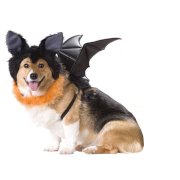 Bat Halloween Dog Costume
