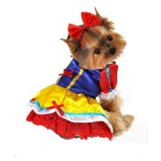 Enchanted Snow Princess Dog Costume