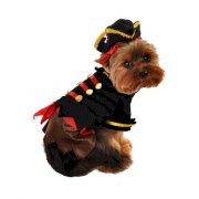 Buccaneer Pirate Halloween Dog Costume
