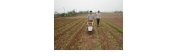 Máy tra hạt, xới cỏ và bón phân 3WG-5
