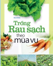 Trồng rau sạch theo mùa vụ