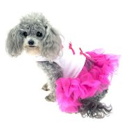 Little Ballerina Tutu Dog Harness Dress w/ Leash - Hot Pink