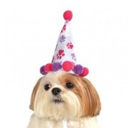 Girl Paw Print Birthday Dog Hat