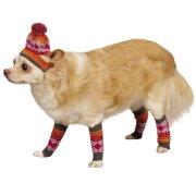 Northern Lights Dog Hat and Leg Warmer Set - Raspberry