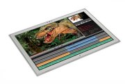 Panasonic Toughpad MB5025 (UT-MB5025SEM) (Intel Core i5-3437U 1.9GHz, 8GB RAM, 256GB SSD, NVIDIA GeForce GT 745M, 20 inch, Windows 8.1 Pro)