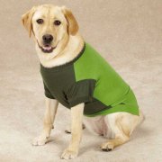 Guardian Gear Insect Shield Dog T-Shirt - Green