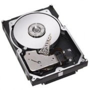 Seagate Enterprise Performance - 1.2TB - 10000 RPM - 64MB Cache - SAS 6.0Gb/s 2.5” (ST1200MM0017)