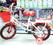 Xe đạp trẻ em mã 1481 cho bé gái XTD-099