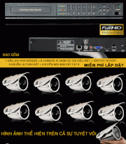 Trọn bộ 8 kênh Cable5a NVR5A DSZ8 - ZAQ6