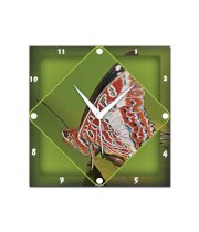 Amore Butterfly Wall Clock 02