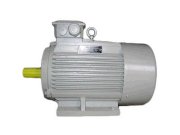 Động cơ điện GUANGLU Y3-250M-6