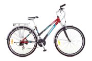 Xe đạp thể thao Asama AMT 48 (màu xám và đỏ)