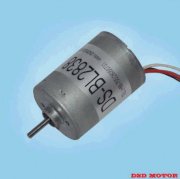 Động cơ điện DS-BL2838-012-11000