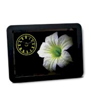 Bluegape Black Plastic Darkness Flower Table Clock