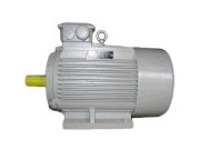 Động cơ điện GUANGLU Y3-200L1-2