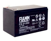 Ắc quy FIAMM FG20121A