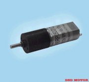 Động cơ điện DS-16RP05001214000-256K